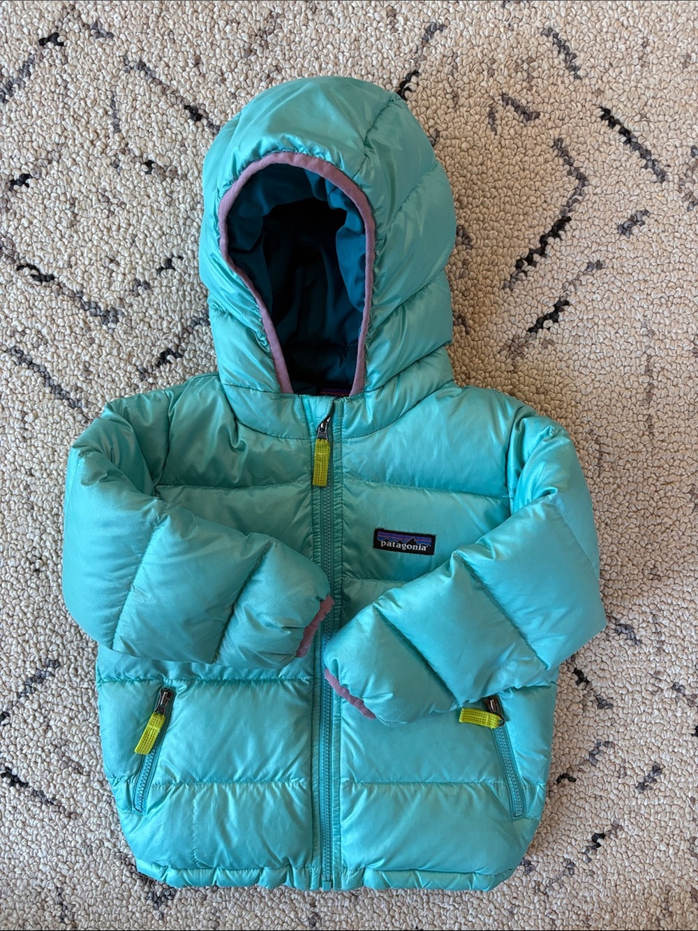 Patagonia Kids Puffer Jacket (2T) EUC